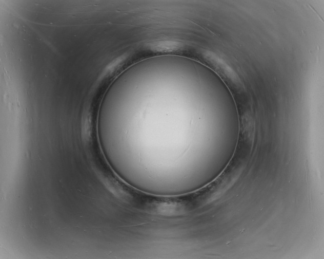 X0000112140400200908071100