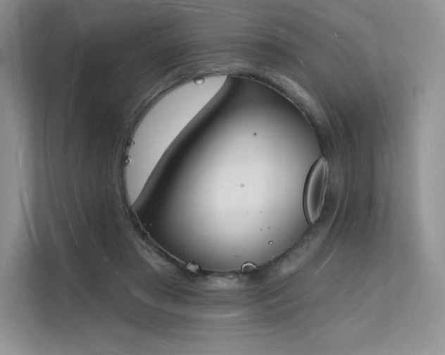 X0000112140405200908071100