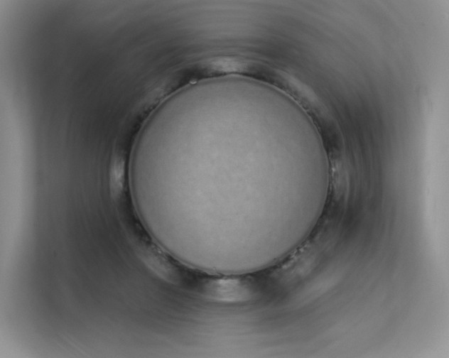 X0000112140406200908071100
