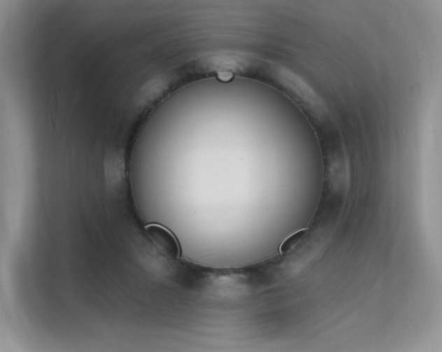 X0000112140407200908071100