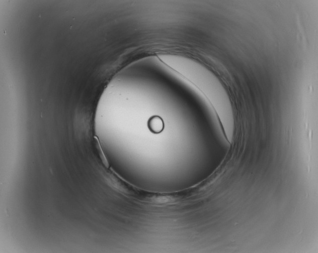 X0000112140409200908071100