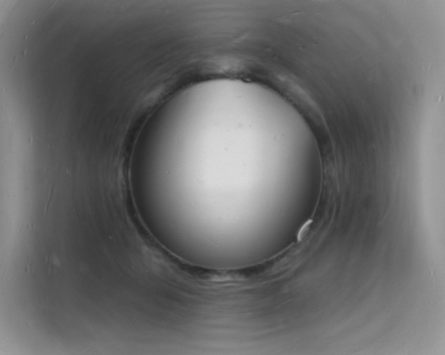 X0000112140415200908071100