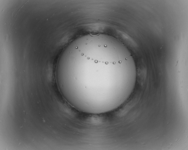 X0000112140416200908071100