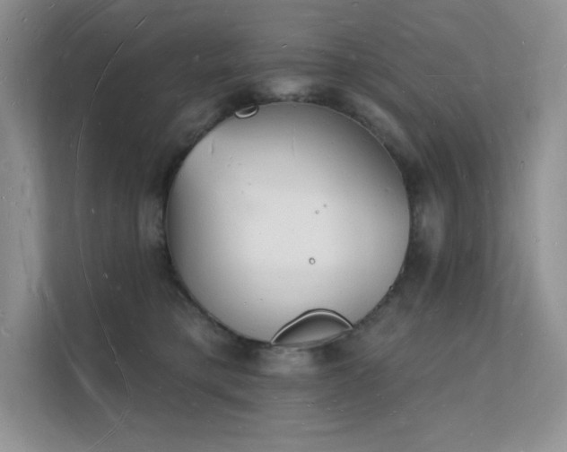X0000112140421200908071059