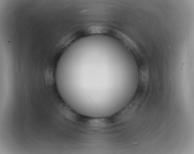 X0000112140422200908071059