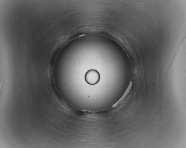 X0000112140423200908071059