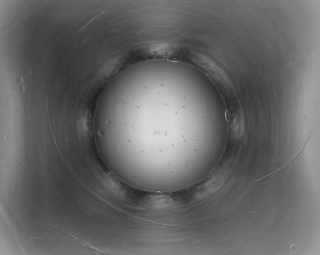 X0000112140424200908071059