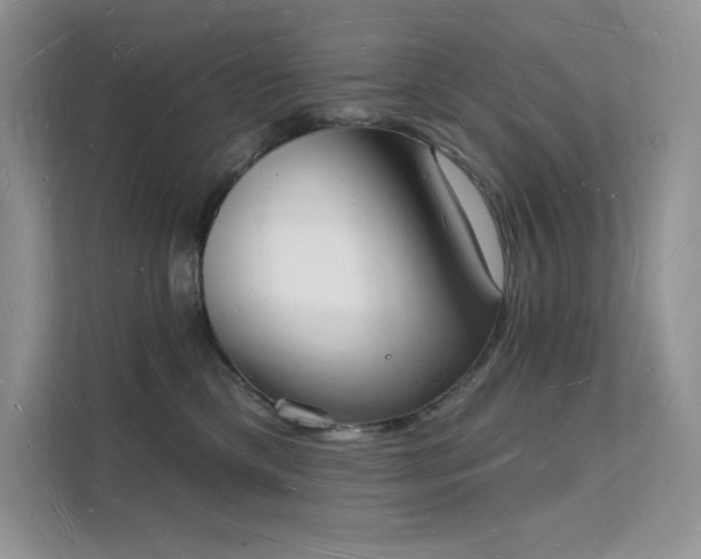 X0000112140425200908071059