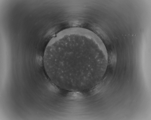 X0000112140427200908071059