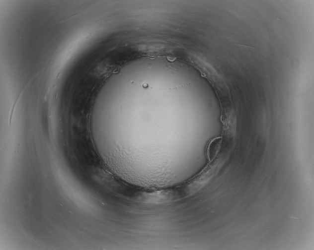 X0000112140430200908071059