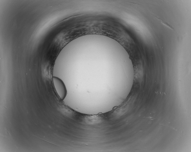 X0000112140431200908071059