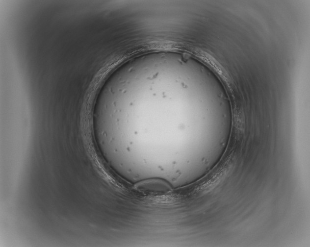 X0000112140433200908071059