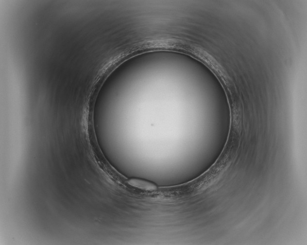 X0000112140434200908071059