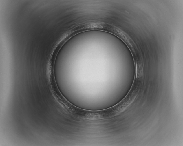 X0000112140435200908071059