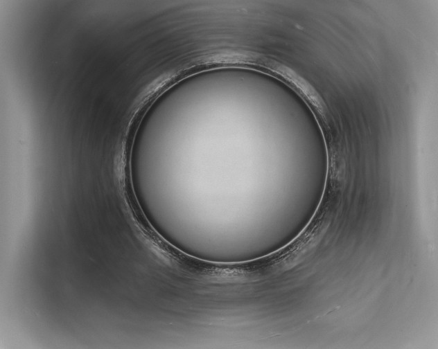 X0000112140437200908071059
