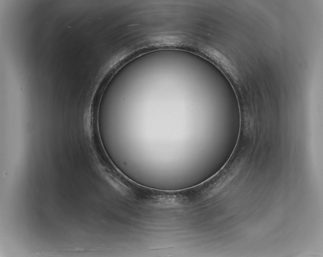 X0000112140439200908071059