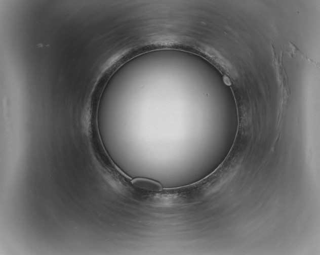X0000112140440200908071059