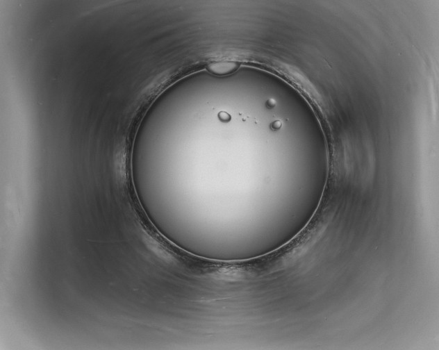 X0000112140441200908071059