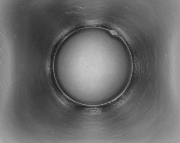 X0000112140443200908071059