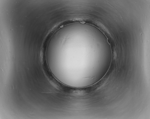 X0000112140444200908071059