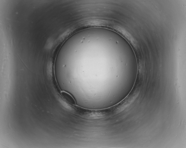 X0000112140445200908071059