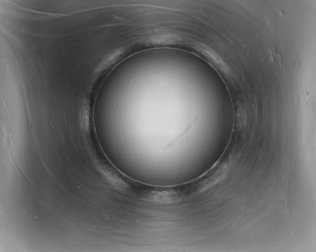 X0000112140446200908071059