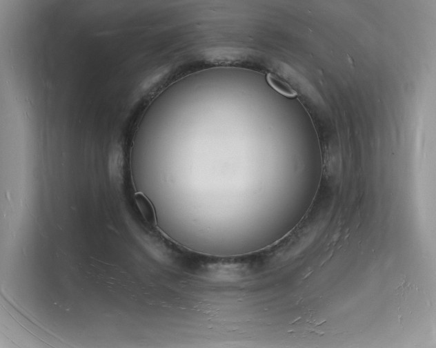 X0000112140448200908071059
