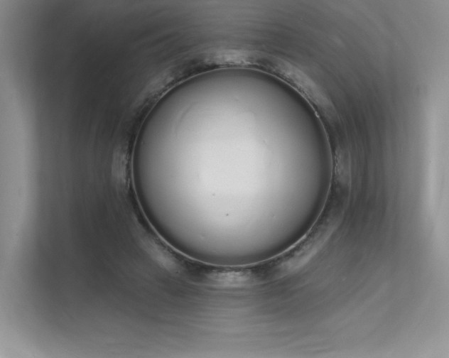 X0000112140449200908071059