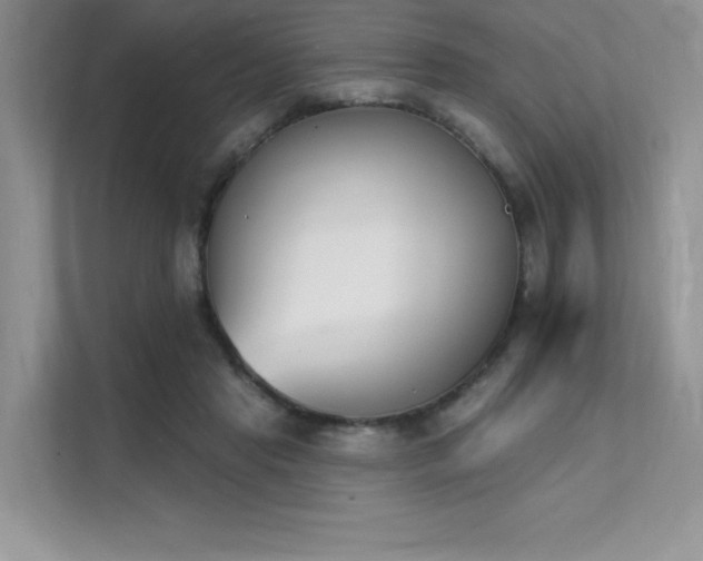 X0000112140453200908071059
