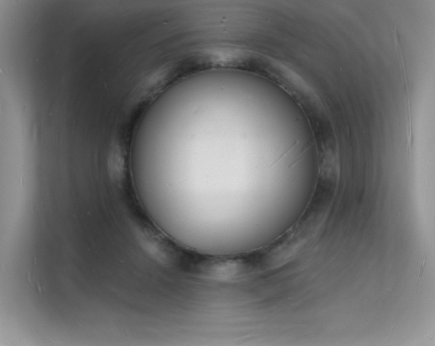 X0000112140456200908071059