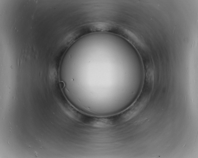 X0000112140459200908071059