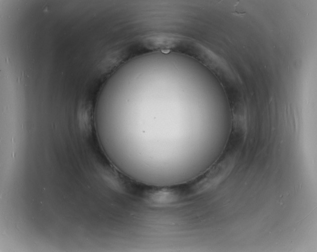 X0000112140460200908071059