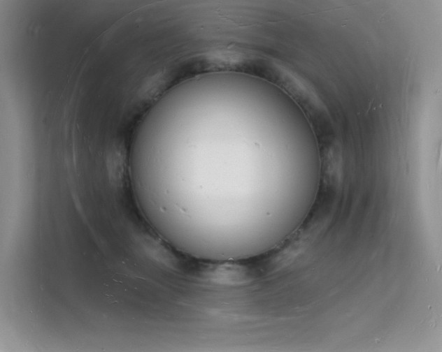 X0000112140463200908071059