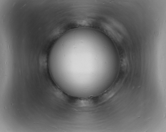 X0000112140466200908071059