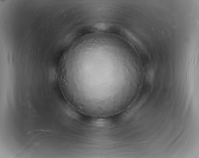 X0000112140467200908071059
