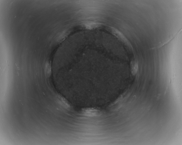 X0000112140471200908071059