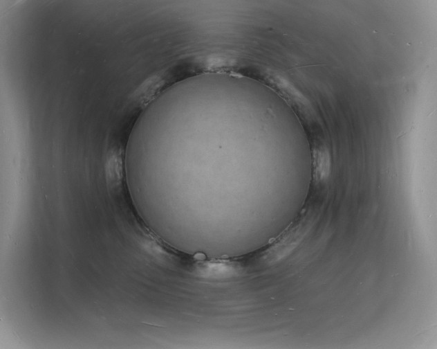 X0000112140475200908071059