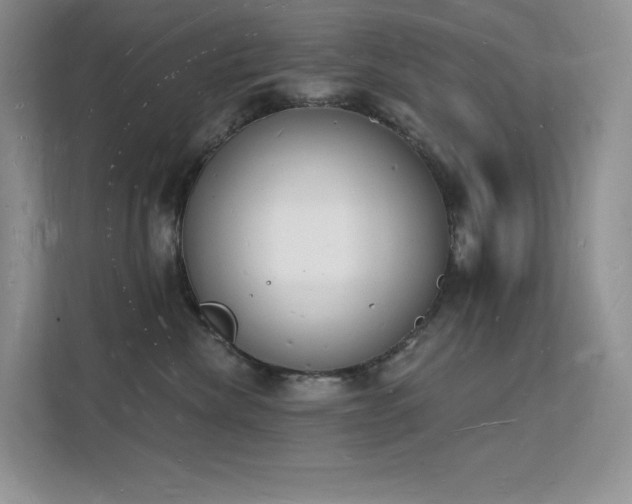 X0000112140476200908071059