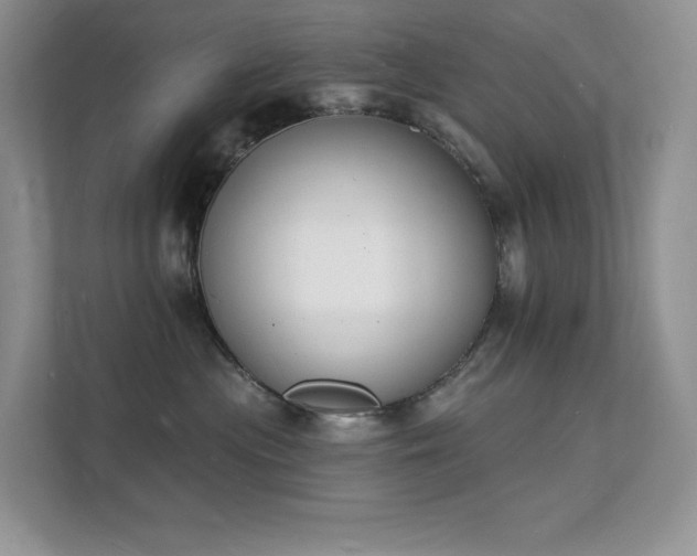 X0000112140477200908071059