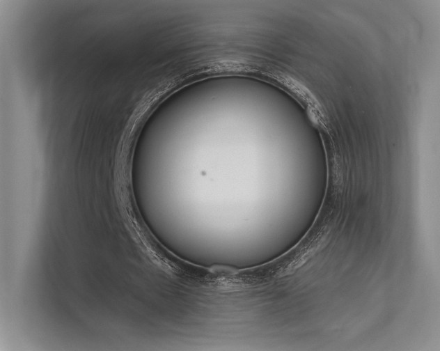 X0000112140481200908071059