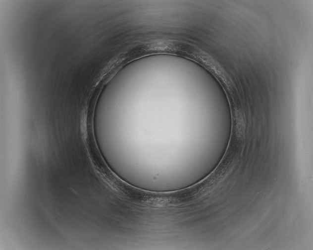X0000112140482200908071059