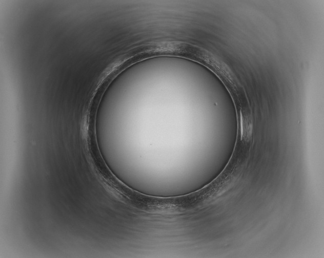 X0000112140483200908071059