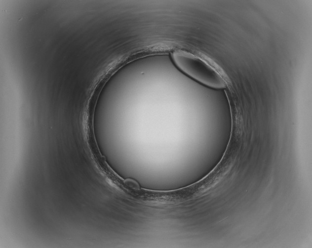 X0000112140485200908071059