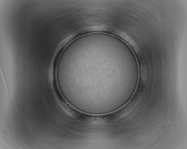 X0000112140486200908071059