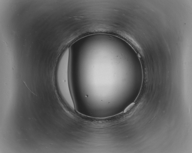 X0000112140489200908071059