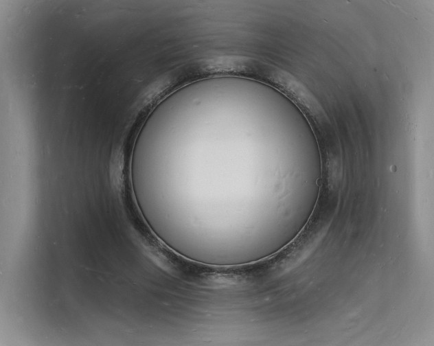 X0000112140490200908071059