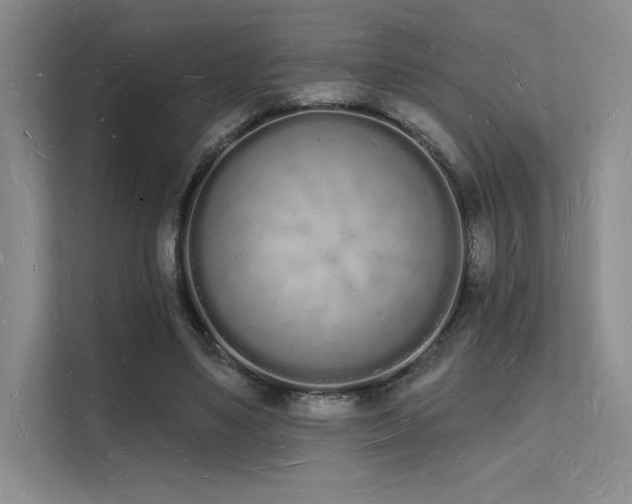 X0000112140491200908071059
