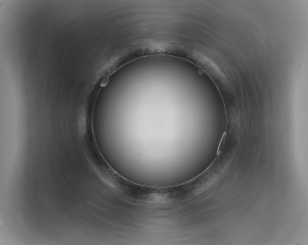 X0000112140496200908071059