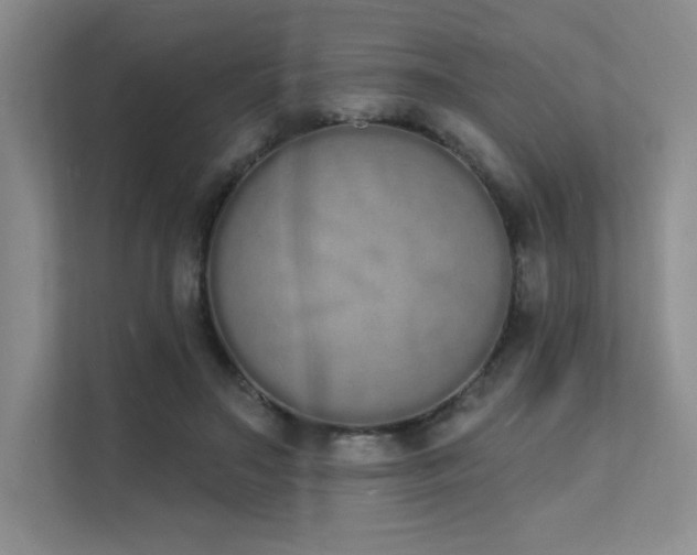 X0000112140499200908071058