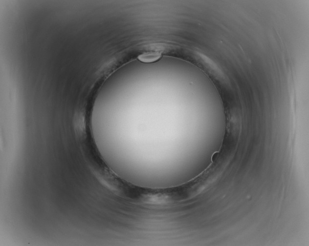 X0000112140500200908071058
